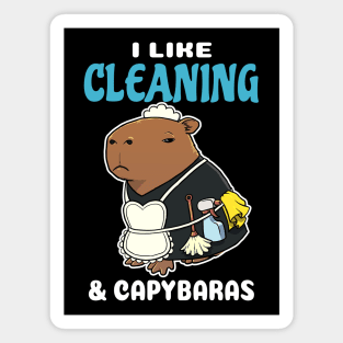 I Like Cleaning and Capybaras Cartoon Magnet